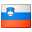 Slovenščina (Slovenija)